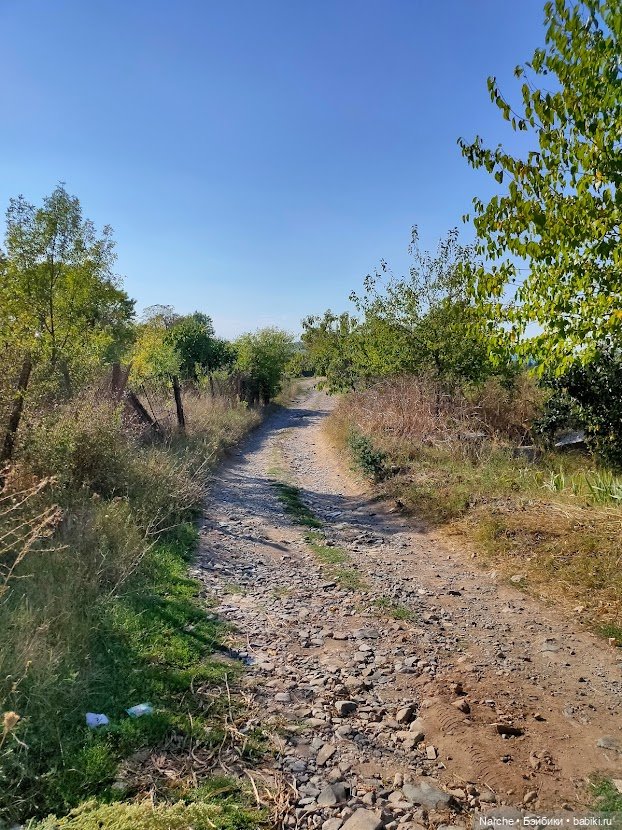 Маленькое путешествие на Акру (фото 6)