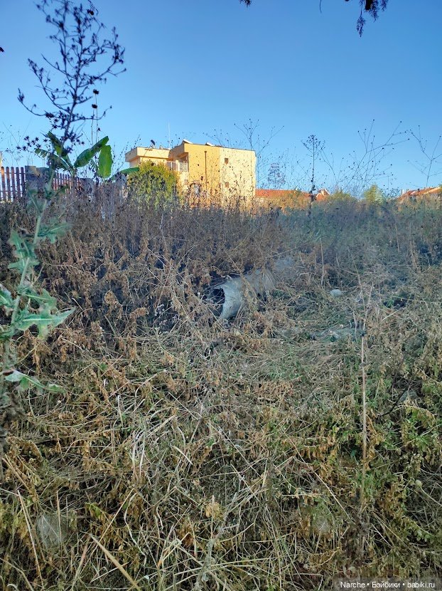 Маленькое путешествие на Акру