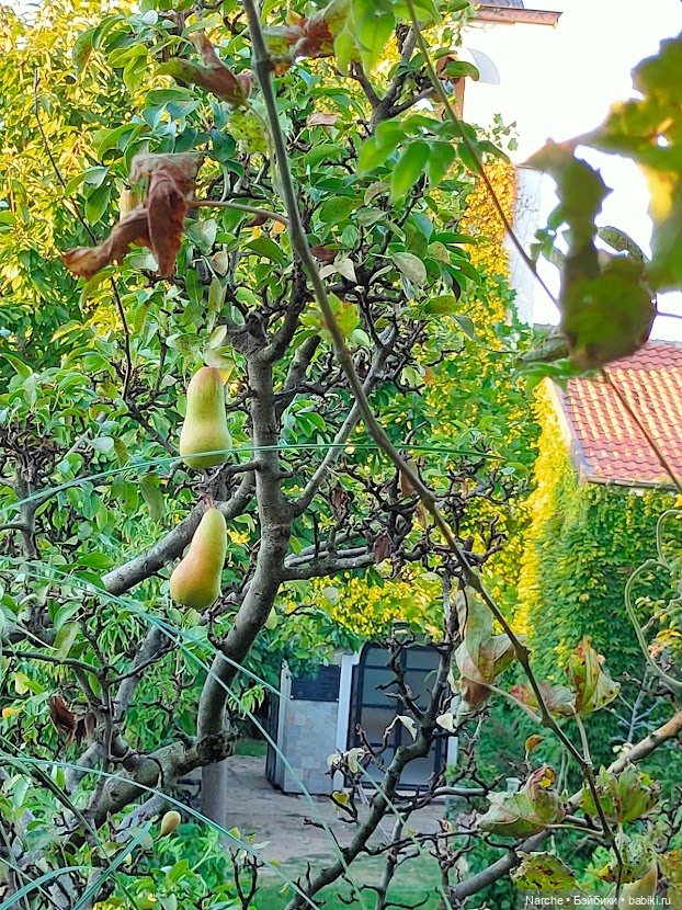 Маленькое путешествие на Акру