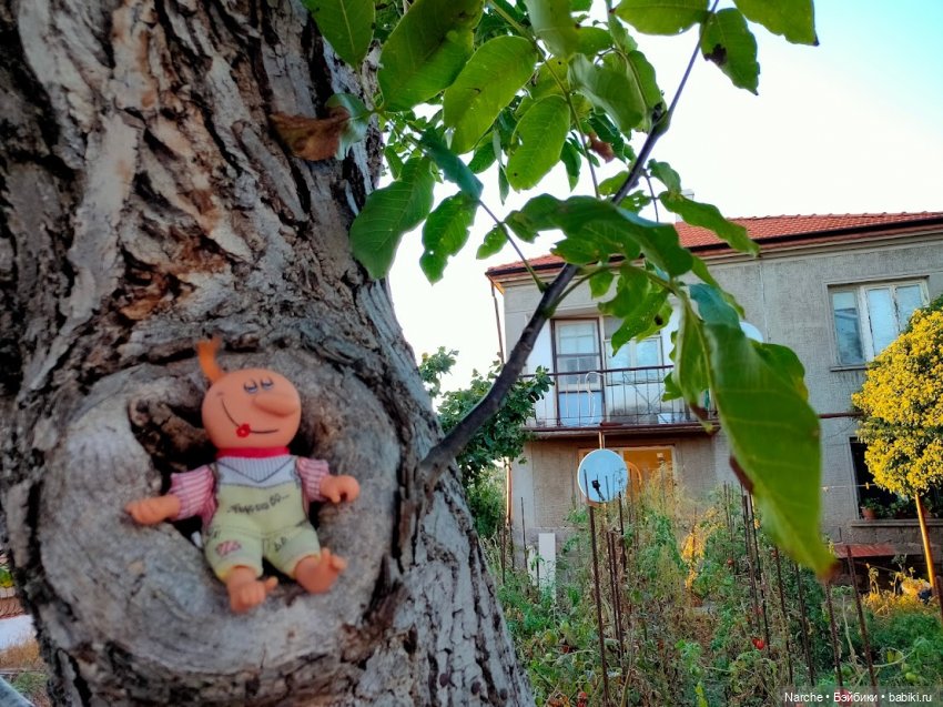 Маленькое путешествие на Акру