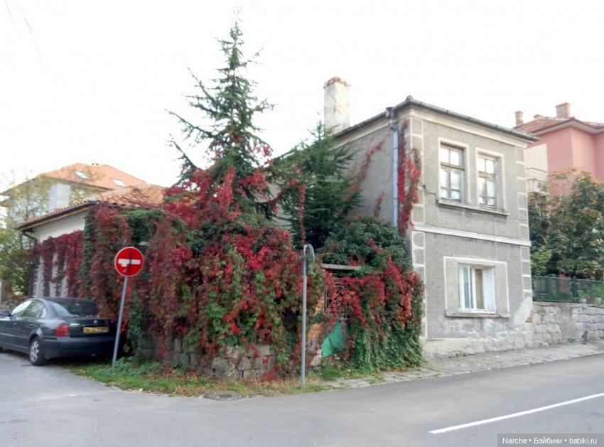 Маленькое путешествие на Акру