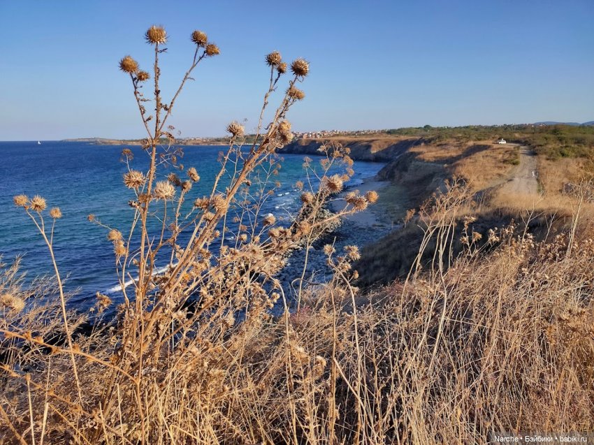 Маленькое путешествие на Акру