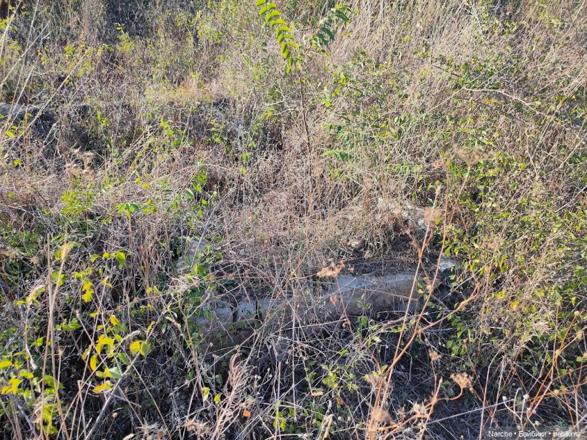 Маленькое путешествие на Акру