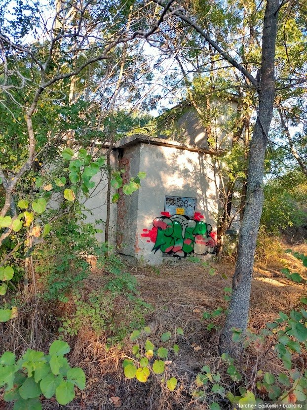 Маленькое путешествие на Акру