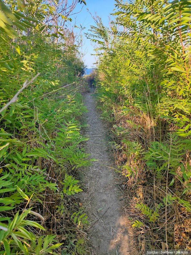 Маленькое путешествие на Акру