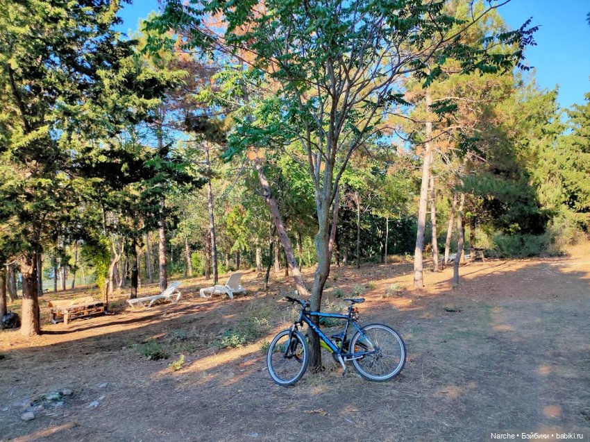 Маленькое путешествие на Акру (фото 9)