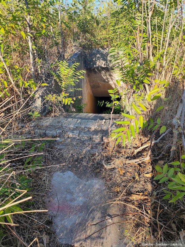 Маленькое путешествие на Акру