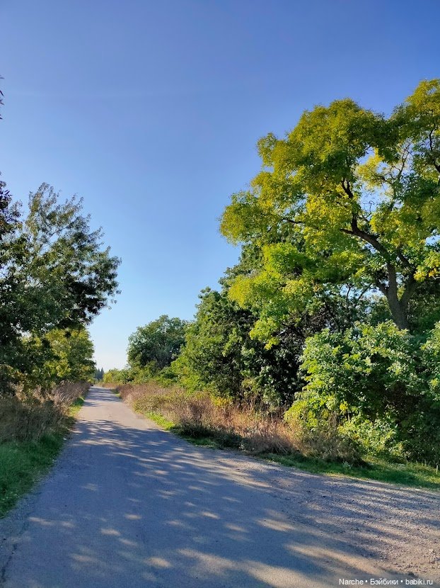 Маленькое путешествие на Акру (фото 8)