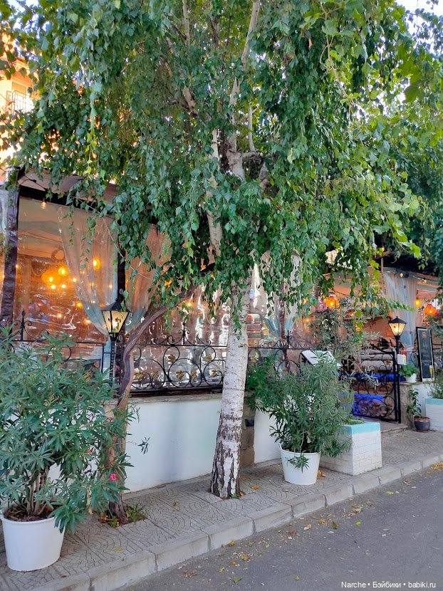 Маленькое путешествие на Акру