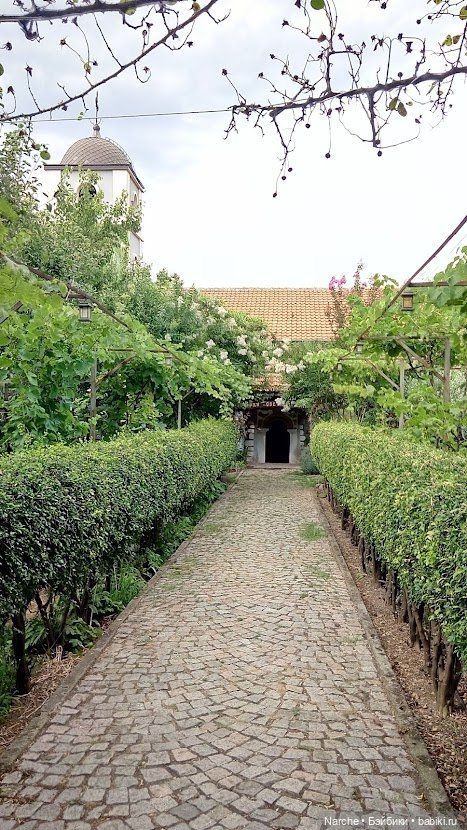 Маленькое путешествие на Акру