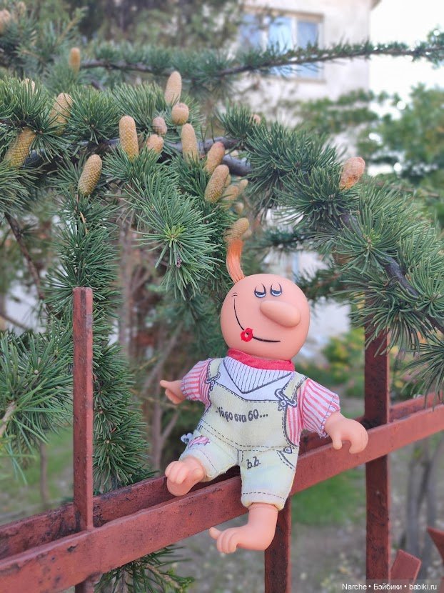 Маленькое путешествие на Акру