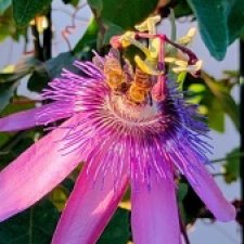 Маленькое путешествие на Акру