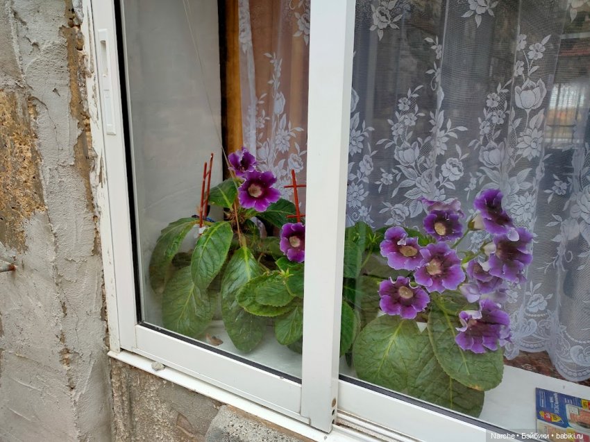 Новоселы-8 — Коллекции винтажных кукол и игрушек: СССР