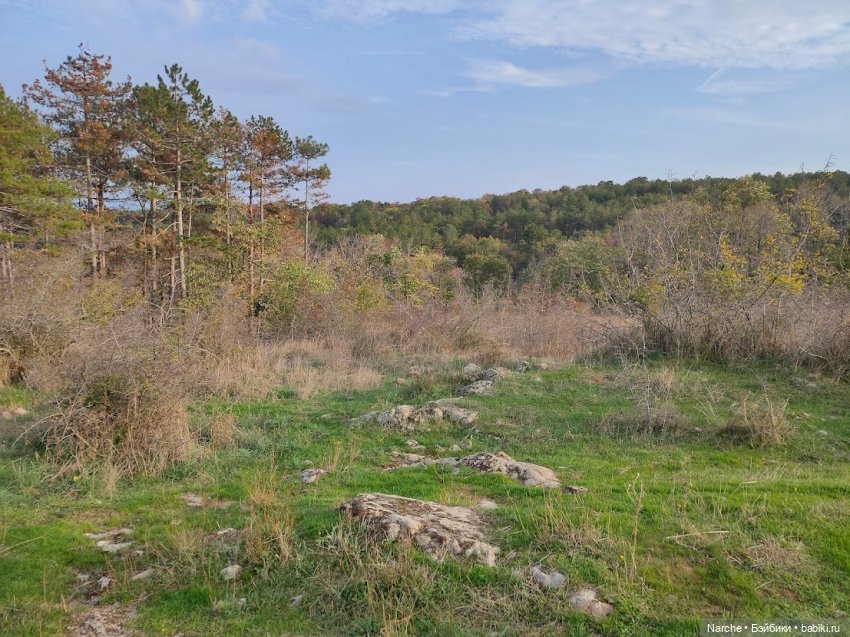 Новоселы-8 — Коллекции винтажных кукол и игрушек: СССР