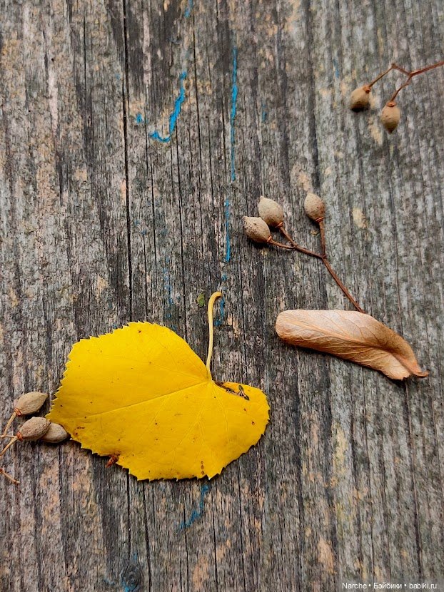 Новоселы-8 — Коллекции винтажных кукол и игрушек: СССР