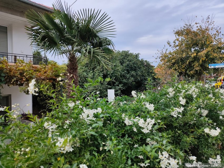 Новоселы-8 — Коллекции винтажных кукол и игрушек: СССР