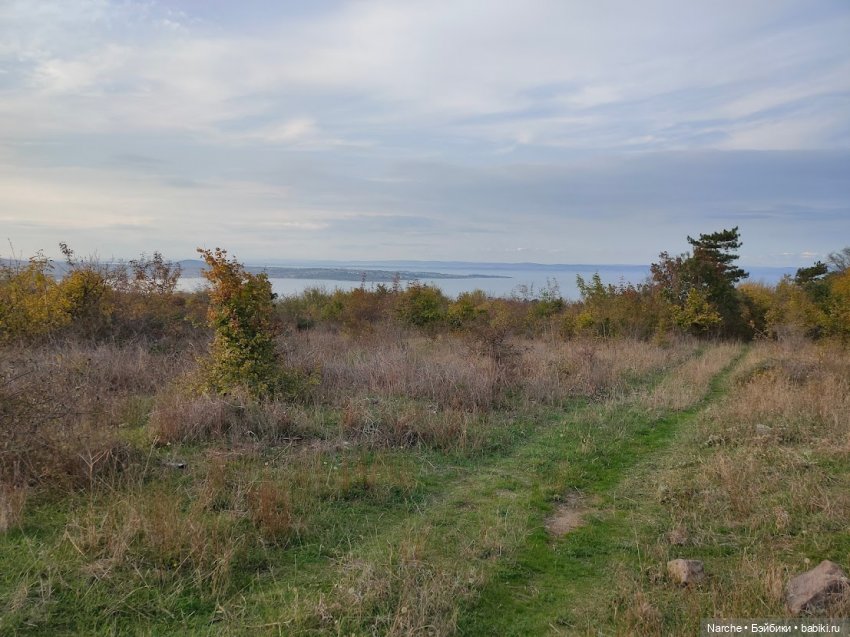 Новоселы-8 — Коллекции винтажных кукол и игрушек: СССР