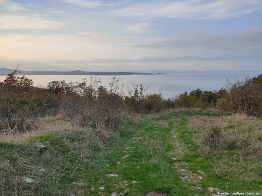 Новоселы-8 — Коллекции винтажных кукол и игрушек: СССР