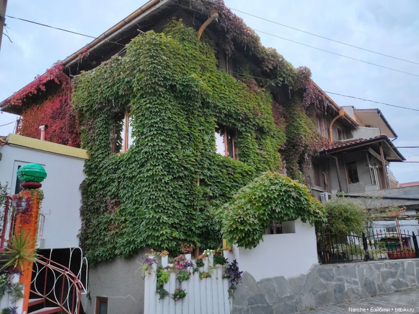 Новоселы-8 — Коллекции винтажных кукол и игрушек: СССР