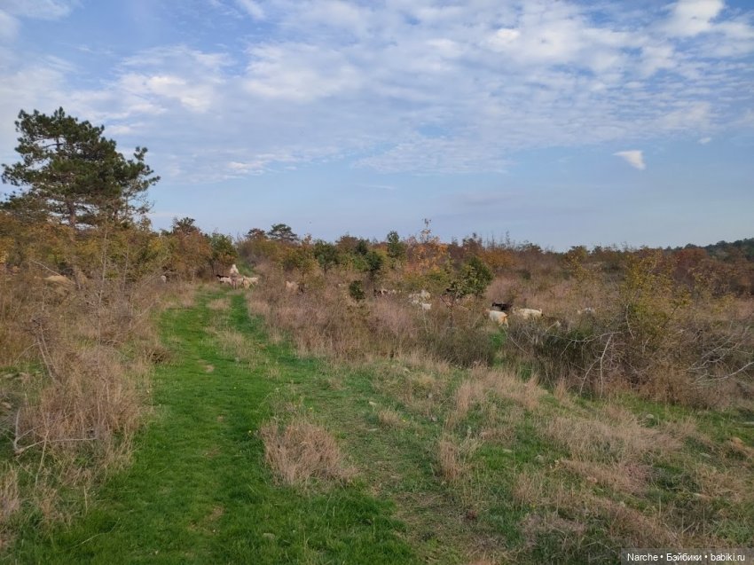 Новоселы-8 — Коллекции винтажных кукол и игрушек: СССР