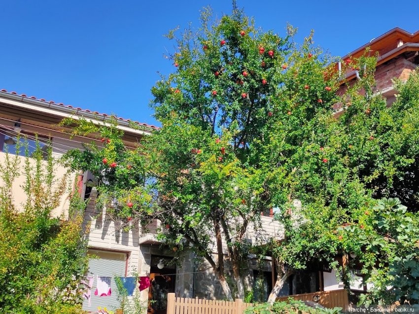 Новоселы- 7 | Бэйбики Новоселы- 7 — Коллекции винтажных кукол и игрушек: СССР (фото 8)