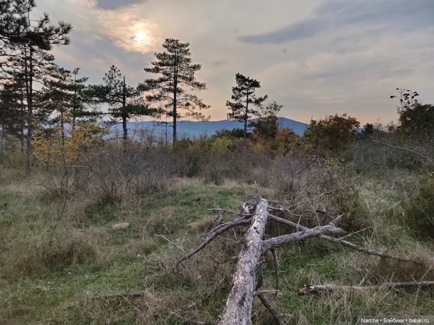 Новоселы-8 — Коллекции винтажных кукол и игрушек: СССР