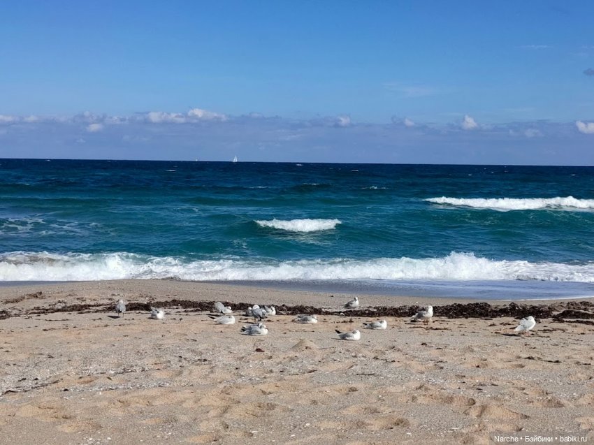 Новоселы-8 — Коллекции винтажных кукол и игрушек: СССР