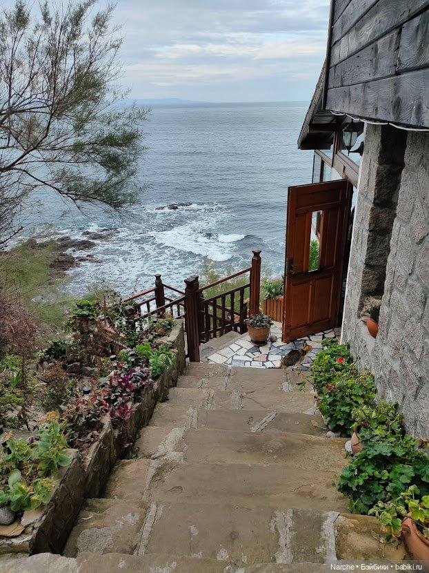 Новоселы-8 — Коллекции винтажных кукол и игрушек: СССР