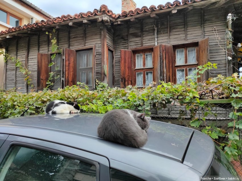 Новоселы-8 — Коллекции винтажных кукол и игрушек: СССР