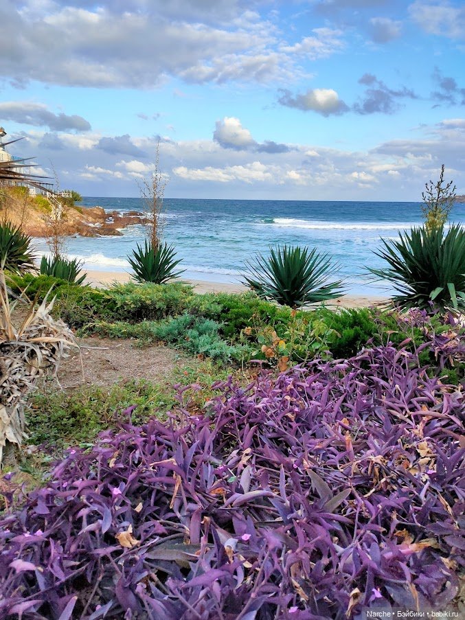 Новоселы-8 — Коллекции винтажных кукол и игрушек: СССР