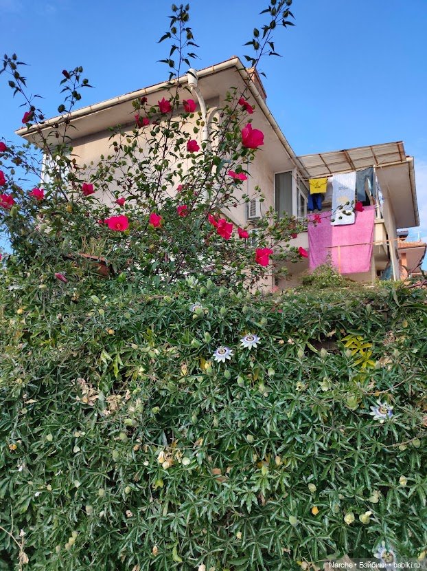 Новоселы-8 — Коллекции винтажных кукол и игрушек: СССР