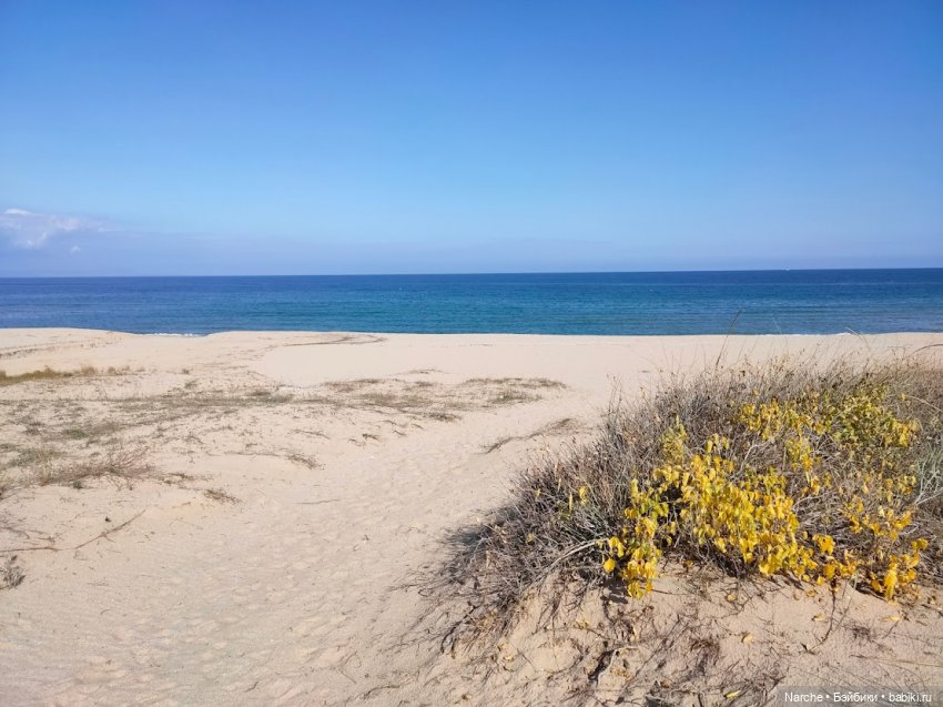 Новоселы-8 — Коллекции винтажных кукол и игрушек: СССР