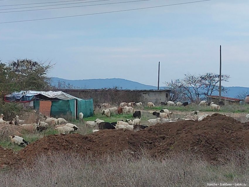 Новоселы- 9 — Коллекции винтажных кукол и игрушек: СССР