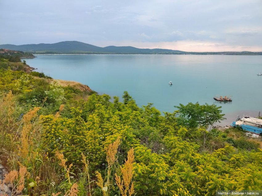 Новоселы- 12 — Коллекции винтажных кукол и игрушек: СССР (фото 7)