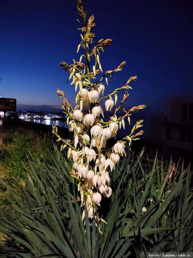 Новоселы- 12 — Коллекции винтажных кукол и игрушек: СССР