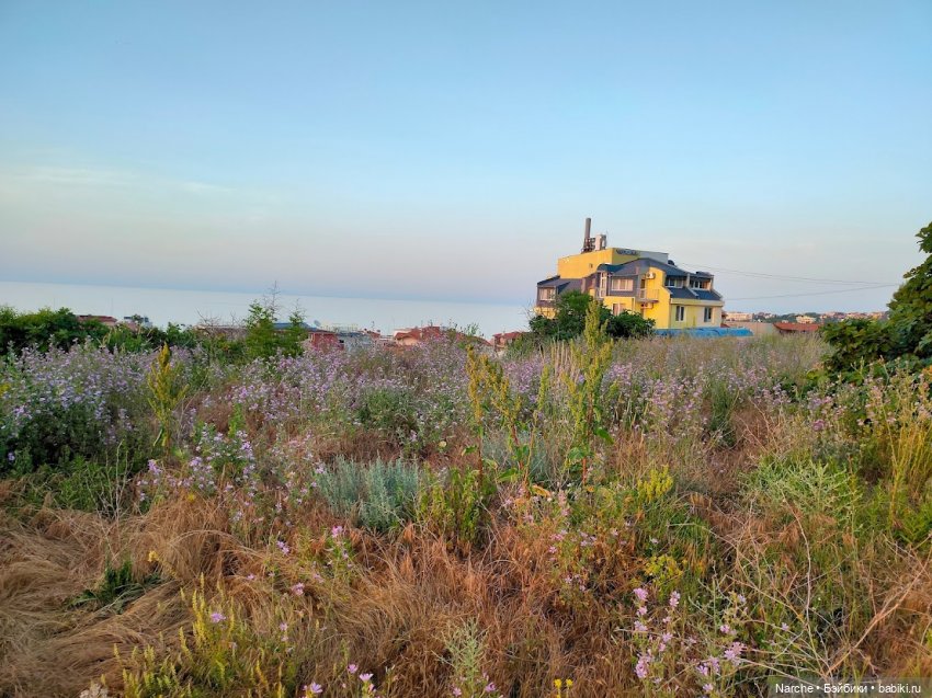 Новоселы- 12 — Коллекции винтажных кукол и игрушек: СССР