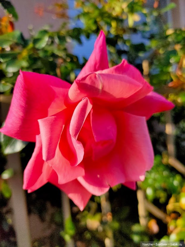 Находки из секонда — Коллекции винтажных кукол и игрушек: СССР