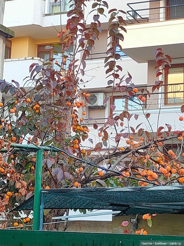 Находки из секонда — Коллекции винтажных кукол и игрушек: СССР (фото 3)