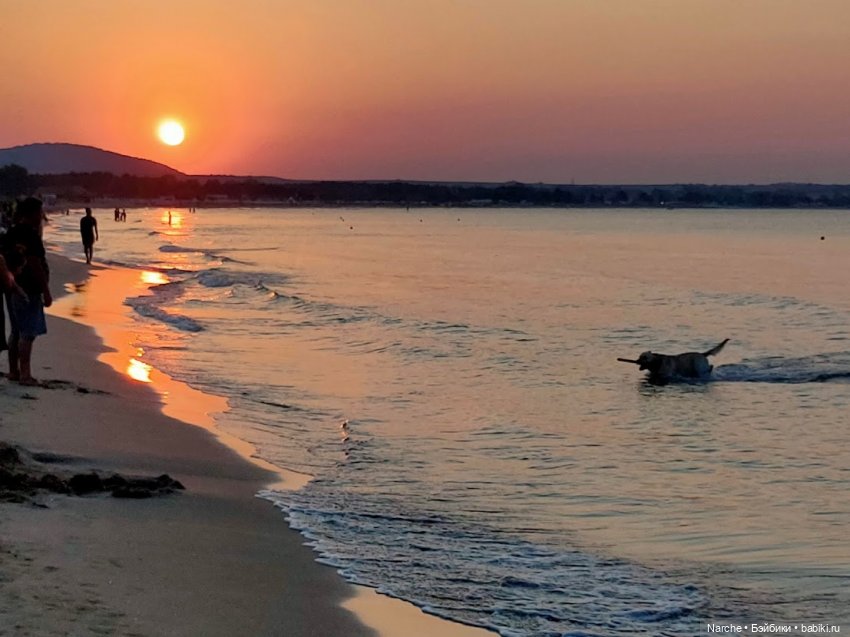 Новоселы- 13 — Винтажные куклы ГДР (Немки): Бигги