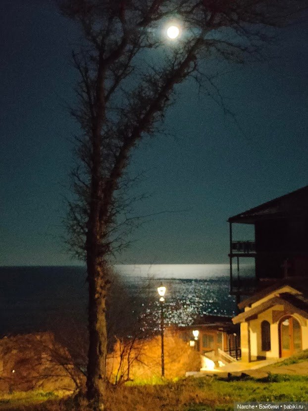 Новоселы- 14 — Винтажные куклы ГДР (Немки): Бигги