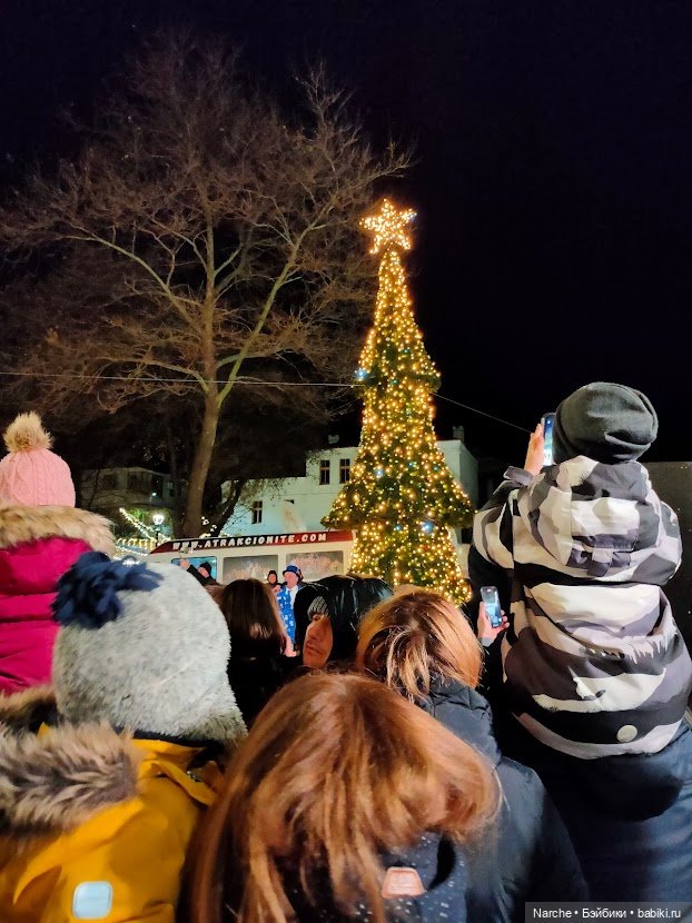 Новоселы- 14 — Винтажные куклы ГДР (Немки): Бигги