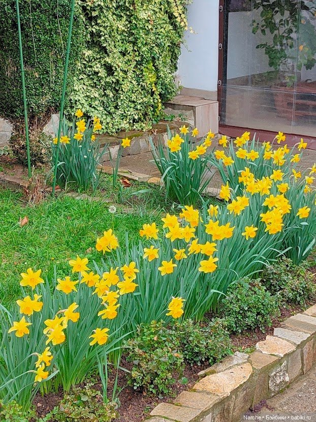 Новоселы- 16 — Винтажные куклы и игрушки детства: СССР