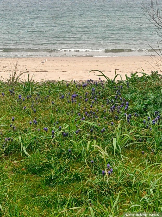 Новоселы- 16 — Винтажные куклы и игрушки детства: СССР