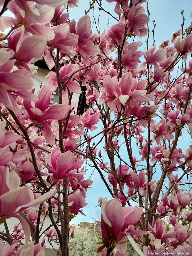 Новоселы- 16 — Винтажные куклы и игрушки детства: СССР