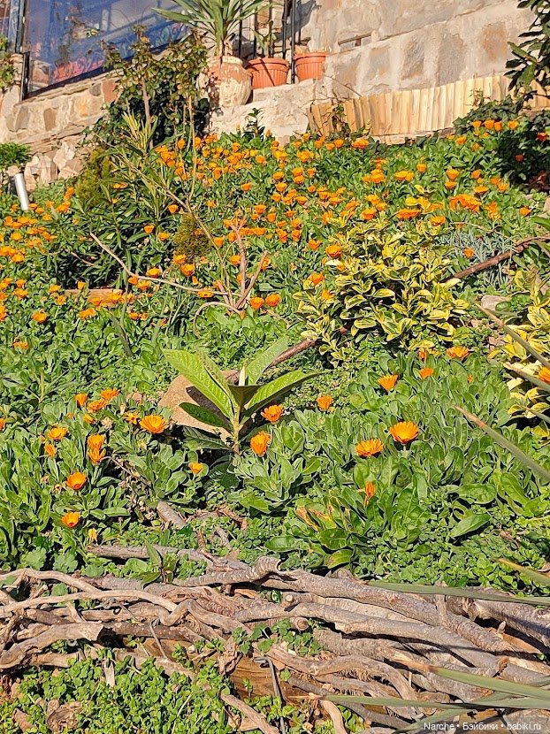 Новоселы- 16 — Винтажные куклы и игрушки детства: СССР