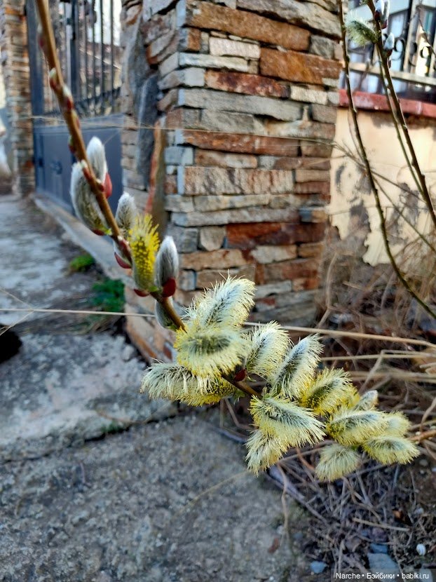 Новоселы- 16 — Винтажные куклы и игрушки детства: СССР