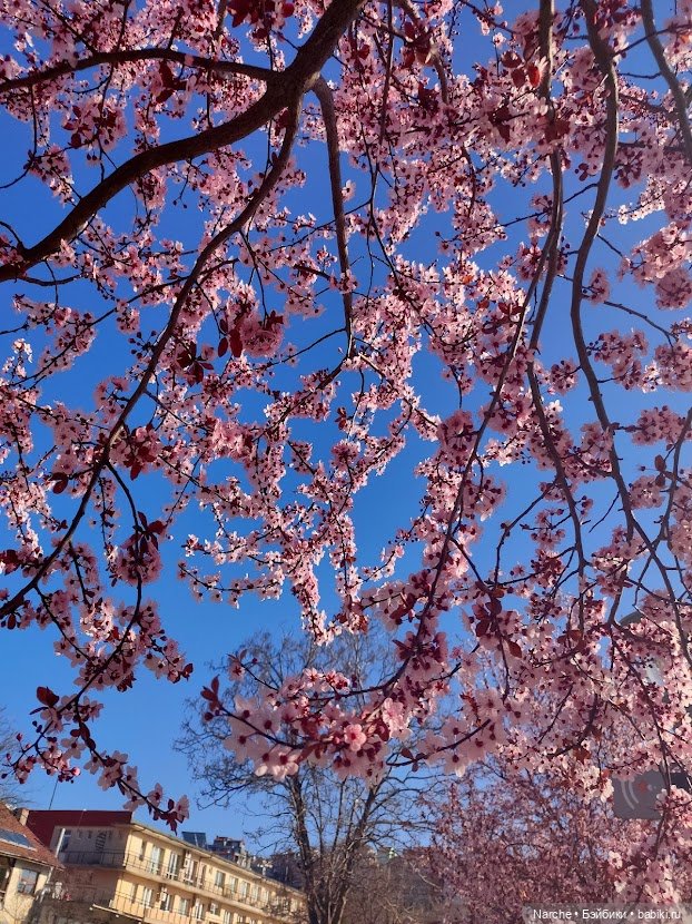 Новоселы- 16 — Винтажные куклы и игрушки детства: СССР