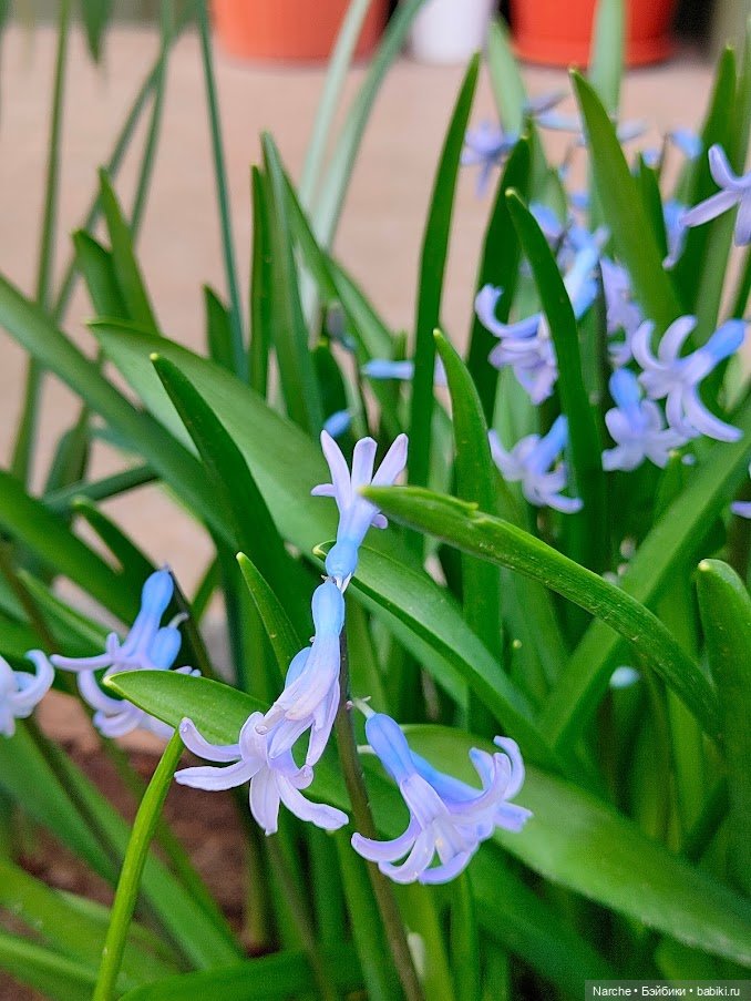 Новоселы- 16 — Винтажные куклы и игрушки детства: СССР