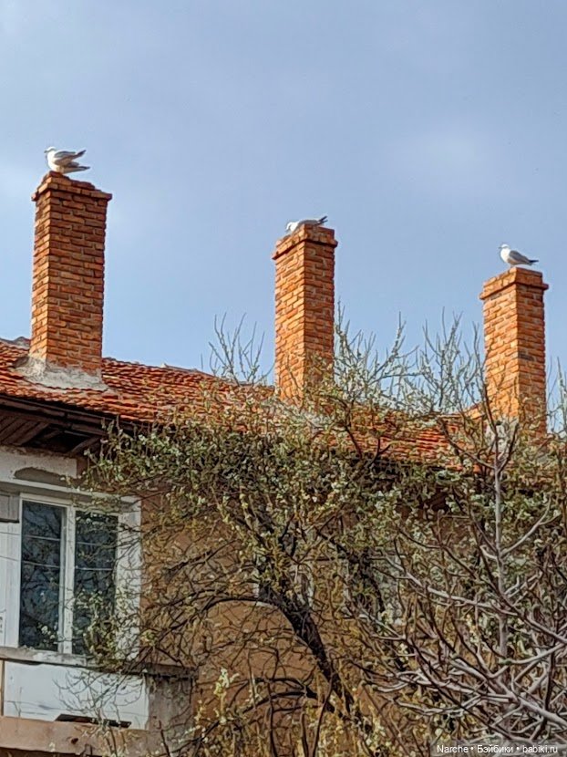 Новоселы- 16 — Винтажные куклы и игрушки детства: СССР