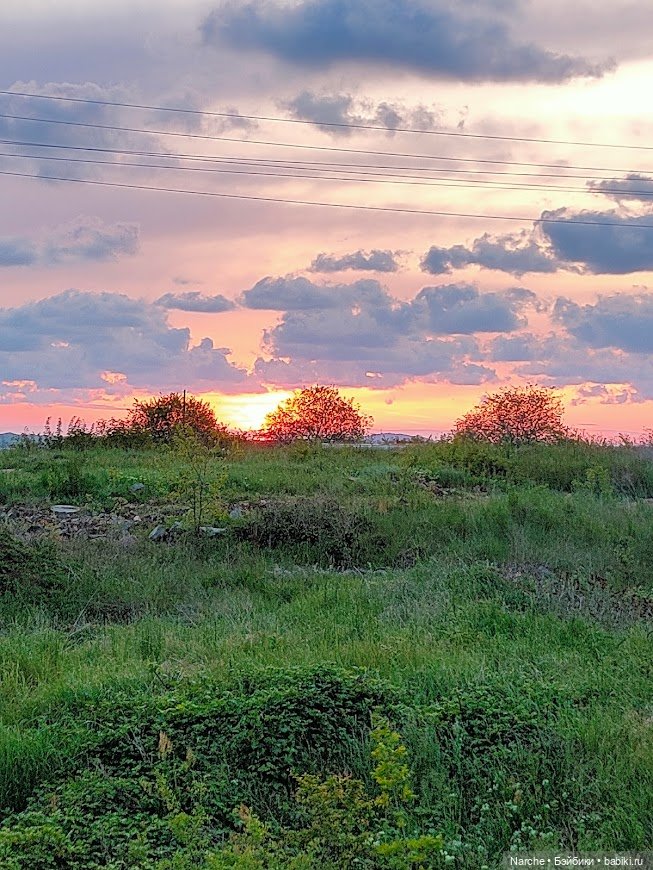 Новоселы- 17 | Бэйбики Новоселы- 17 — Коллекции винтажных кукол и игрушек: СССР